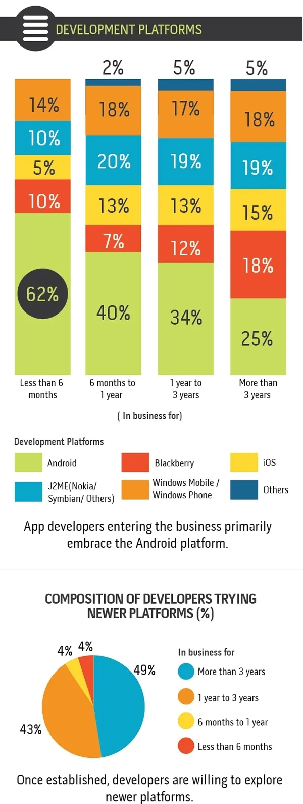 Developer Survey Infographic v2