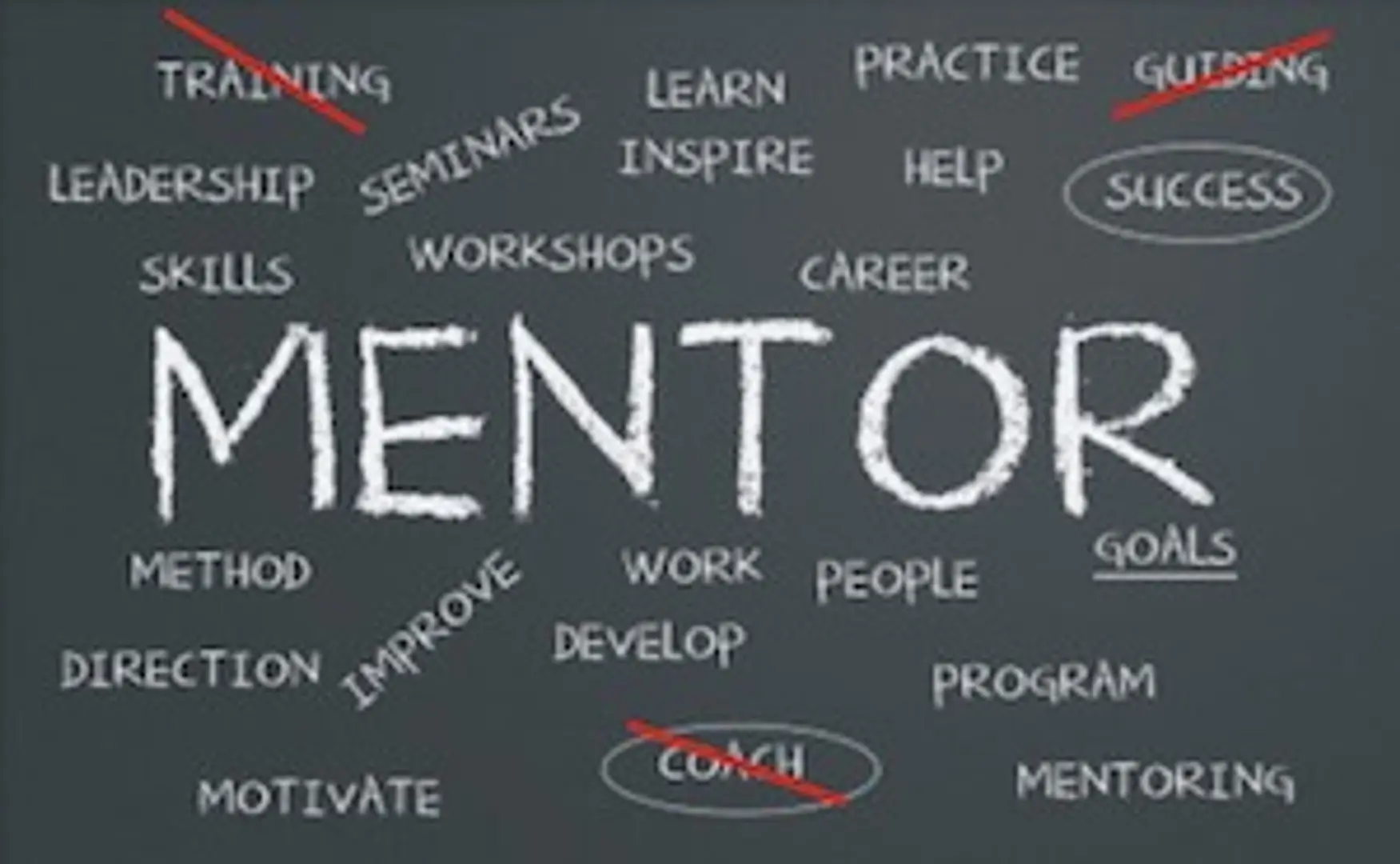 Nandini Vaidyanathan, founder of CARMa CONNECT, creates a mentor network for entrepreneurs