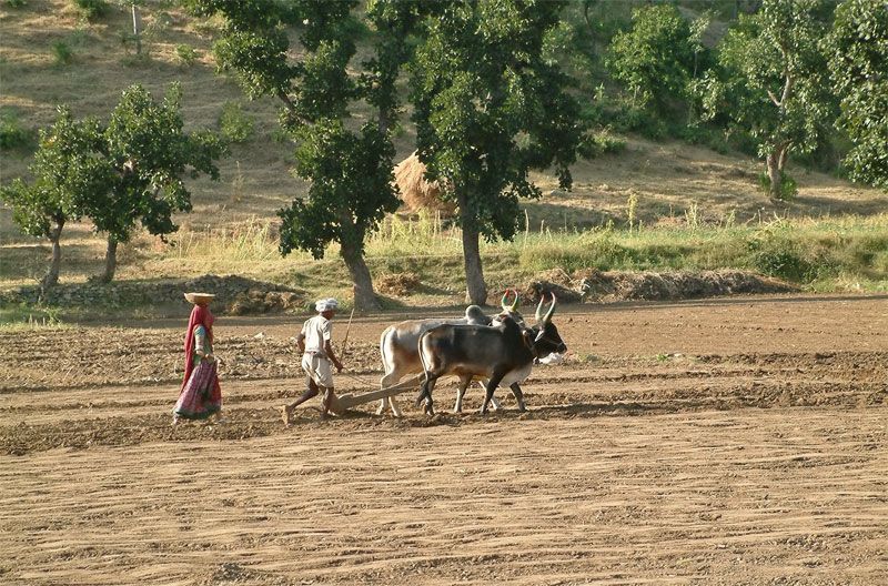 Small town man Anant Patil wants more people to start farming, launches Agrimahiti