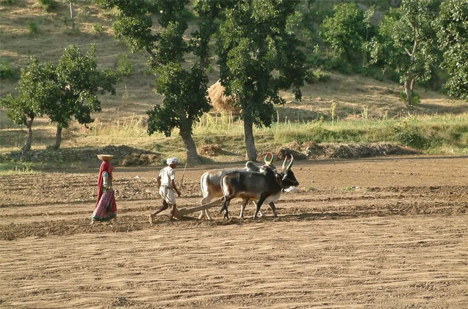 Small town man Anant Patil wants more people to start farming, launches Agrimahiti