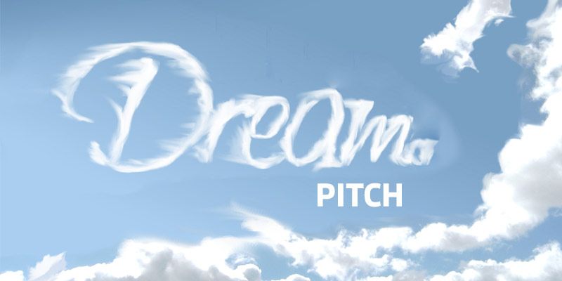 The dream pitch an investor would like to see