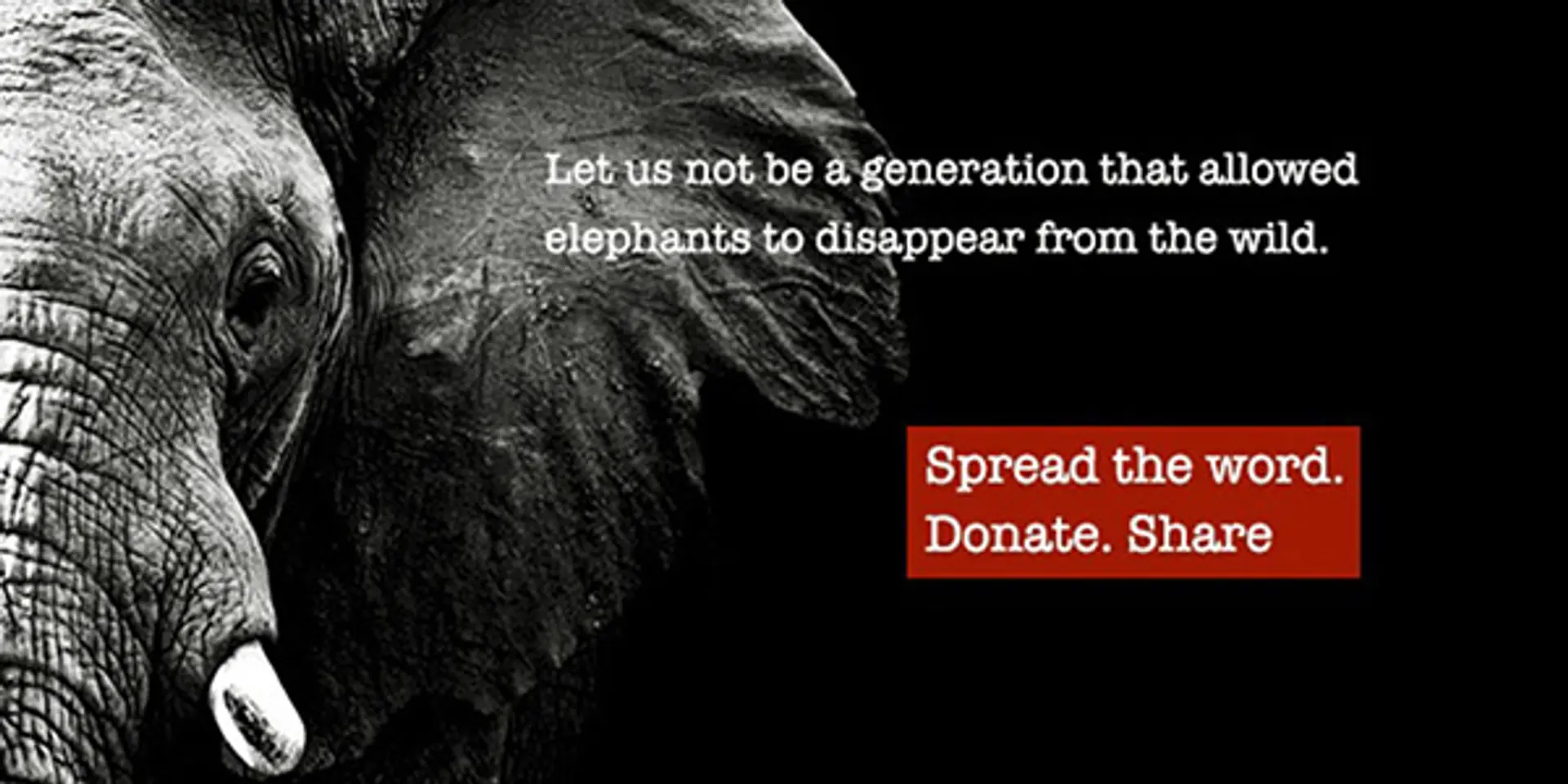 Dedicated wildlife tracker Rory Young crowd funds to save African elephants; help now