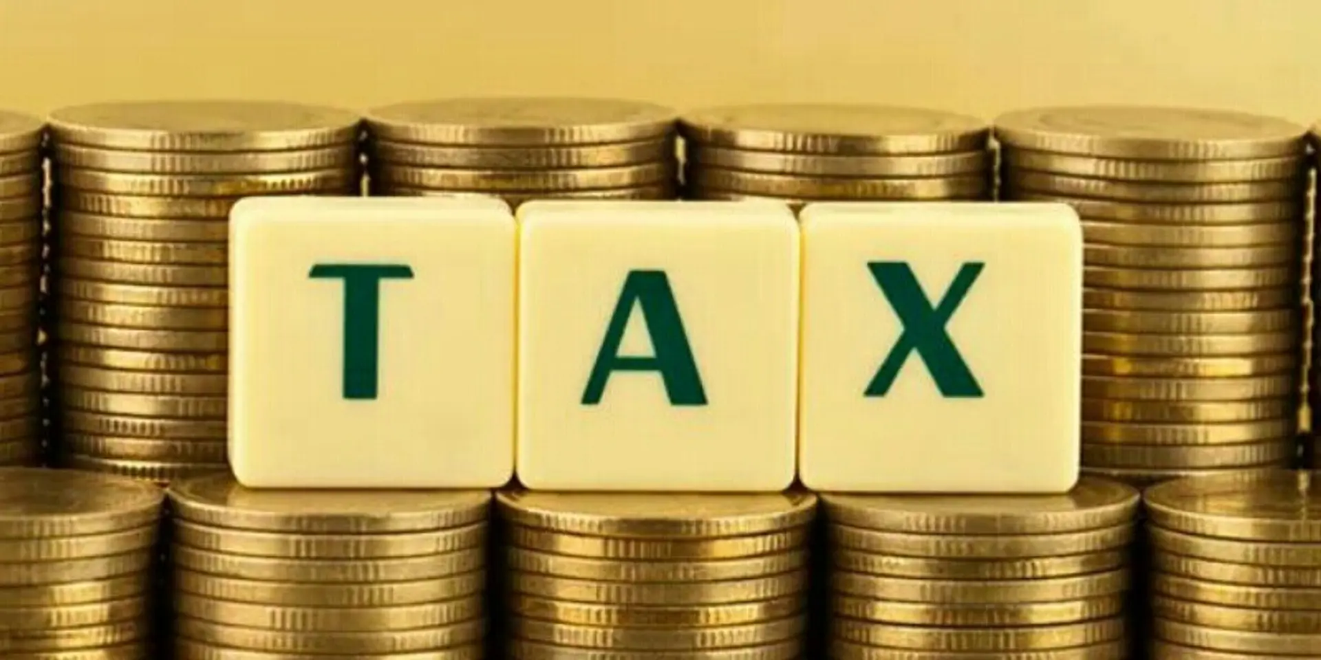 With 3X growth in user base, online tax filing startup Makemyreturns expects to hit 2 lakh active users