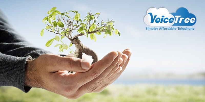 A startup that grew with political movement: VoiceTree Technologies