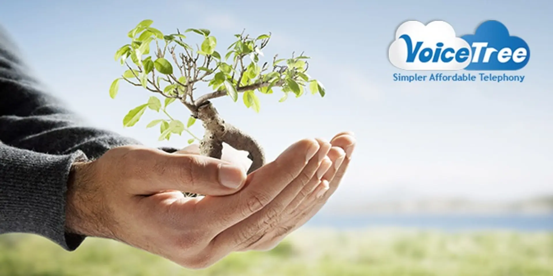 A startup that grew with political movement: VoiceTree Technologies