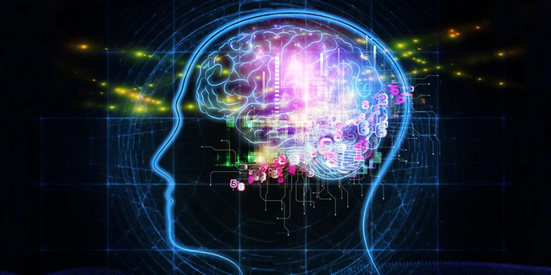 With SkillAngels, cognitive development and a fun learning process is just a game away