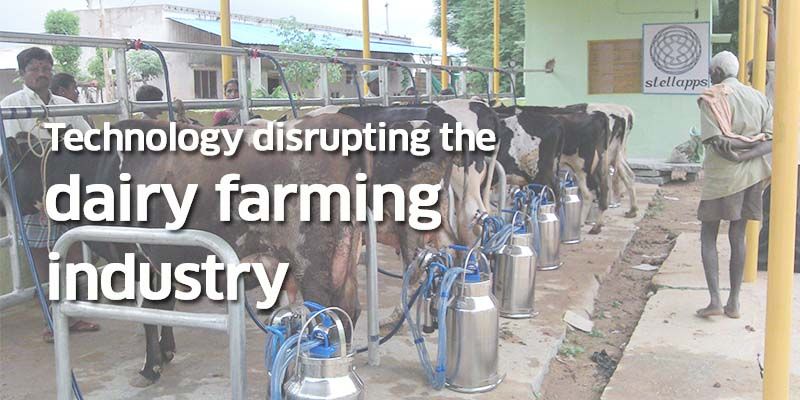 Stellapps Technologies, the company set to disrupt dairy farming in India