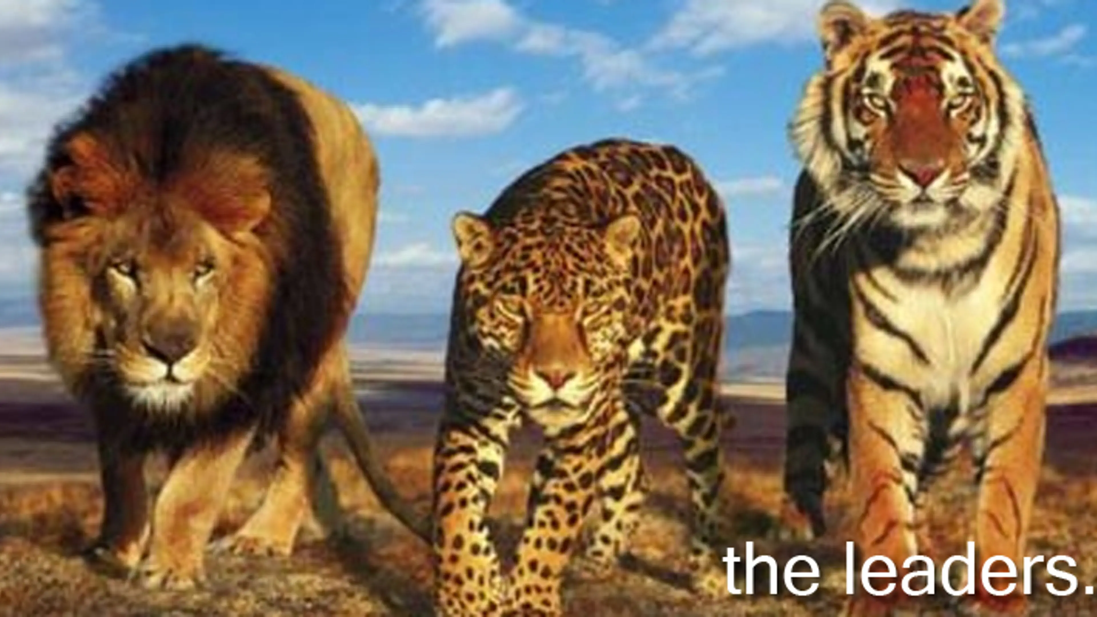 The different kinds of leaders – the Lion, the Tiger, and the Cheetah ...