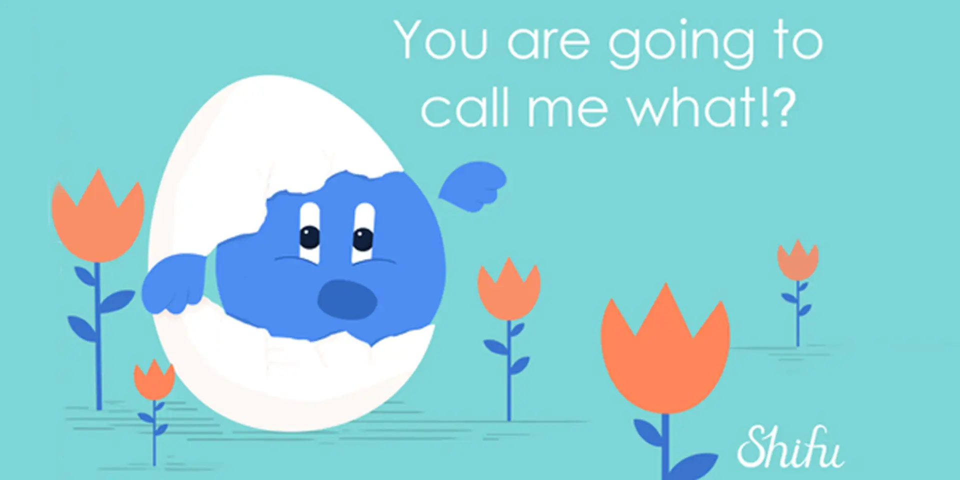 How to name your startup? Here's how Shifu did it
