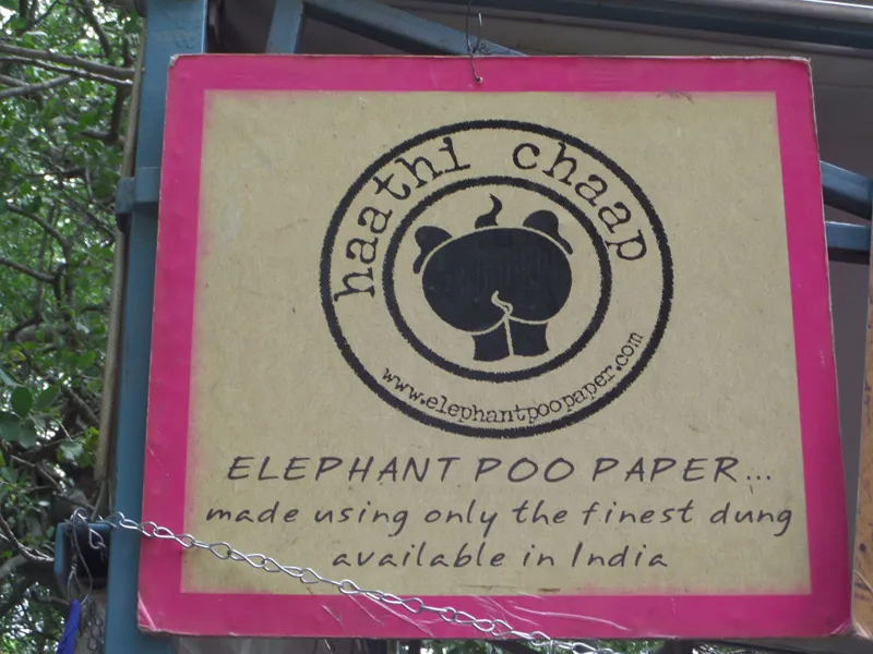 Poo-paper