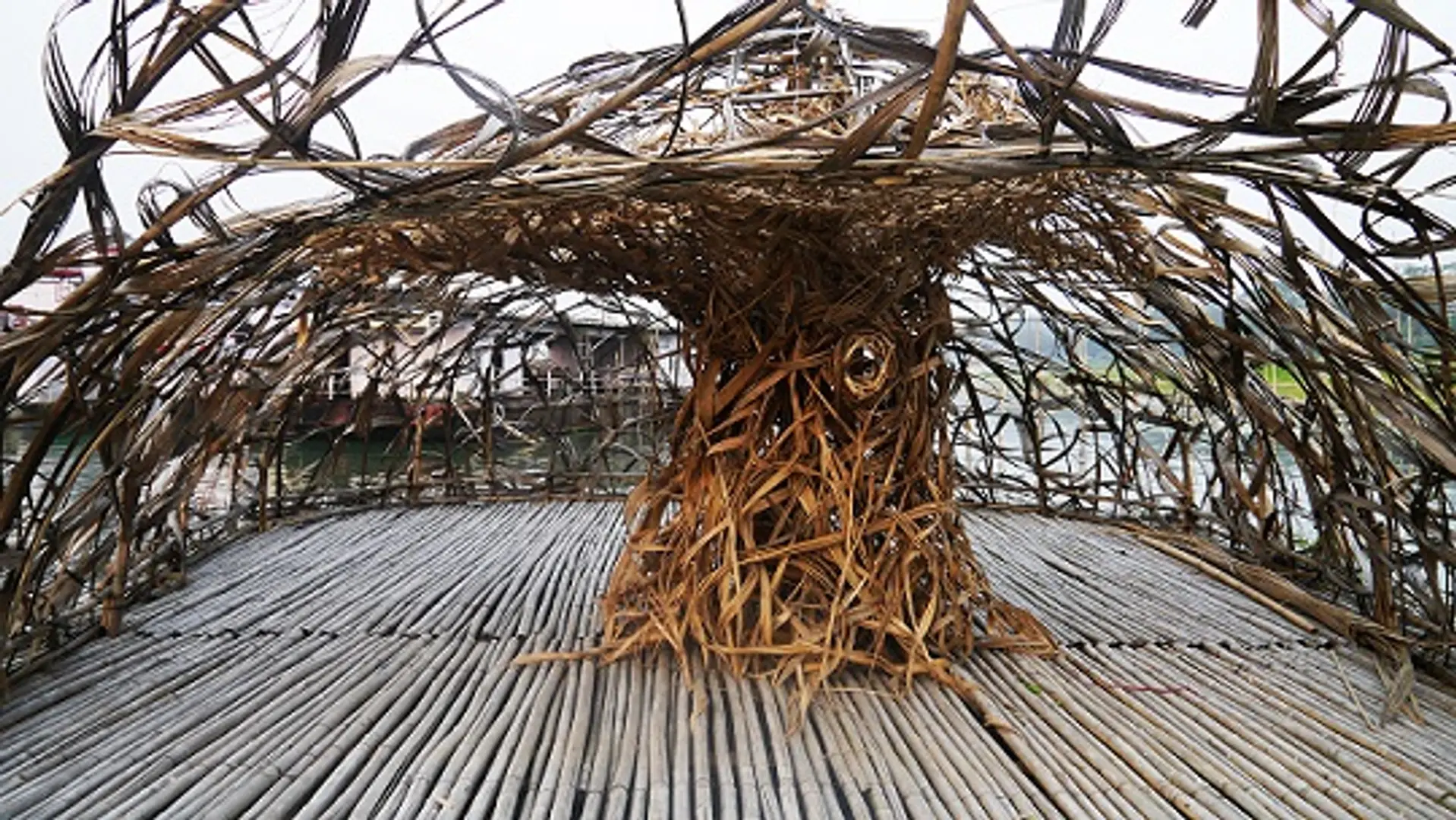Why Art Matters: In Conversation With IFA's Arundhati Ghosh