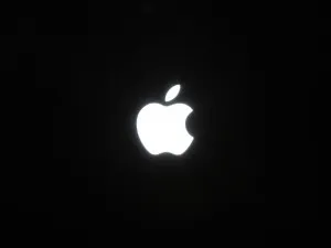 Apple1_YS
