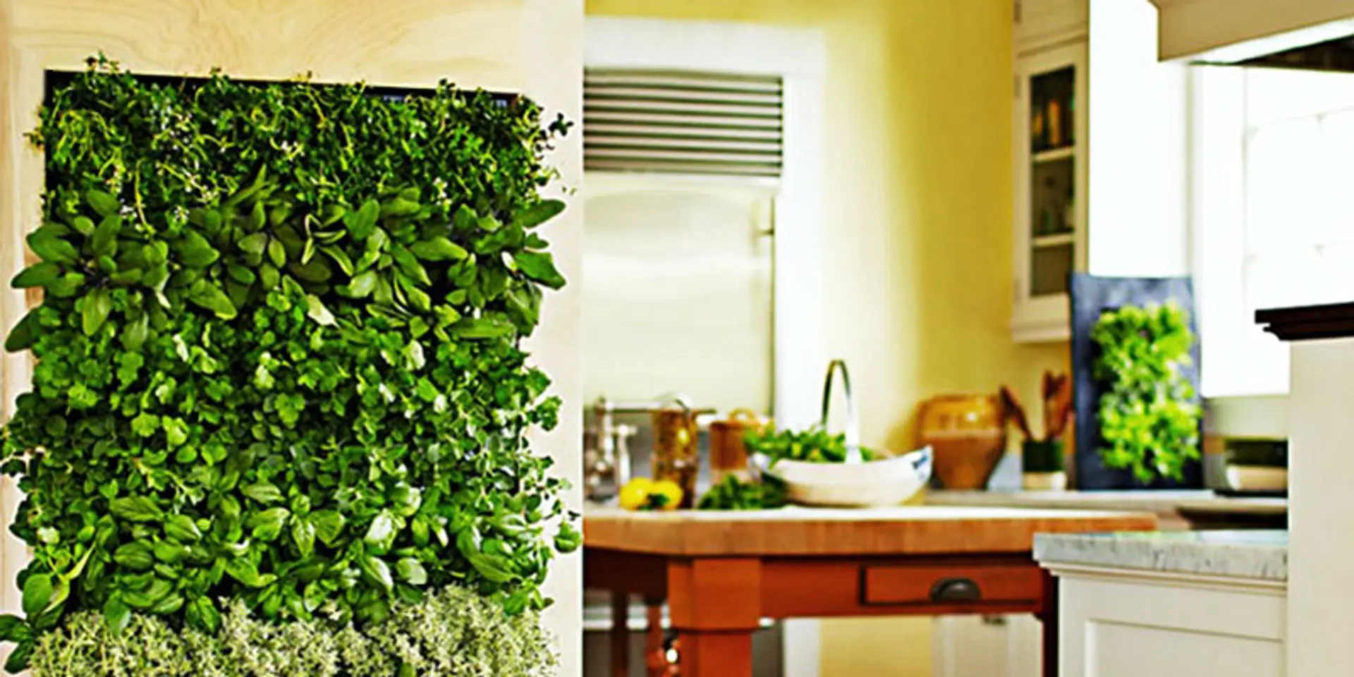 Two women on a mission to make buildings and homes greener with vertical gardening via their startup GreenDrops