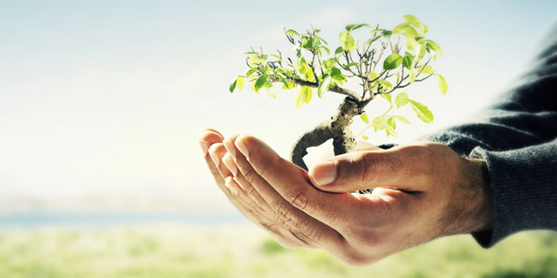 Five tips to start a mobile tech startup