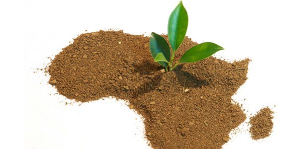 Here are 10 exciting African tech startups