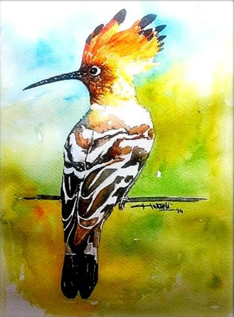 A natural artist, Gajjar spends a lot of her time painting birds (seen here: a Hoopoe)  she observes during birdwatching. 