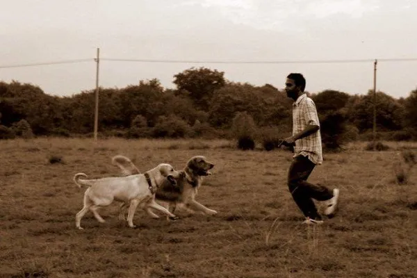 Varun Yagain