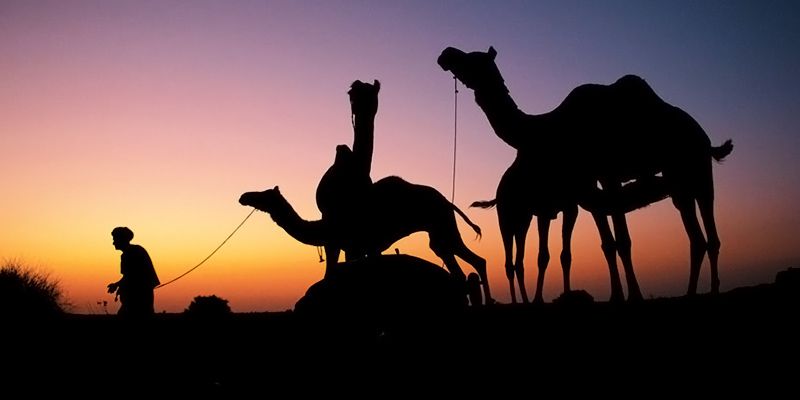 [App Fridays] The Ministry of Tourism and its ‘Incredible India’ initiative