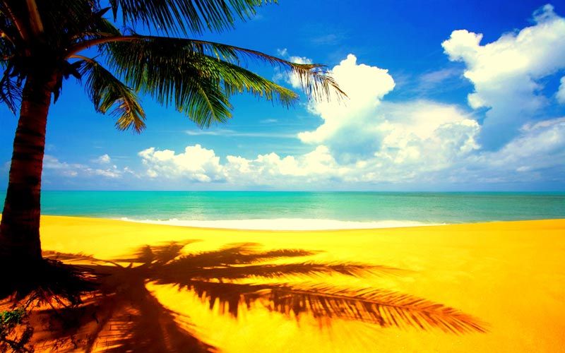 Explore Andamans hassle-free with Experience Andamans