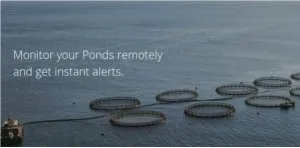 aquaculture