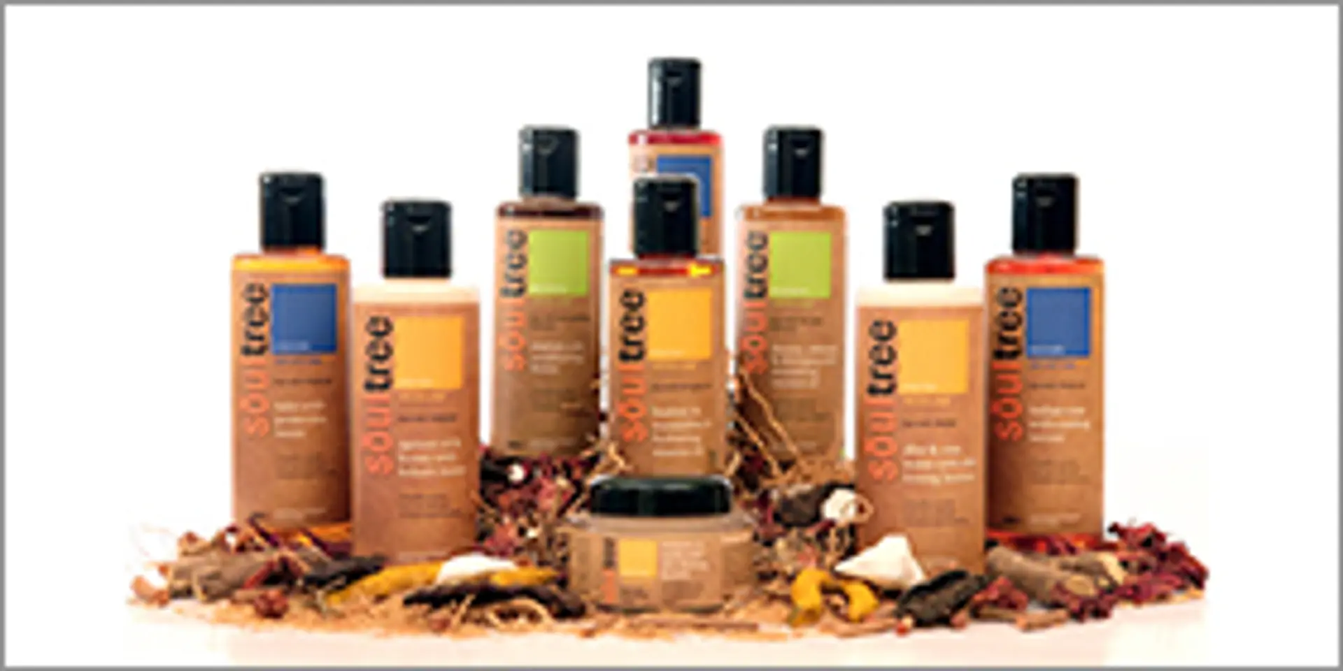 German-certified Soul Tree eyes premium Ayurvedic cosmetic market