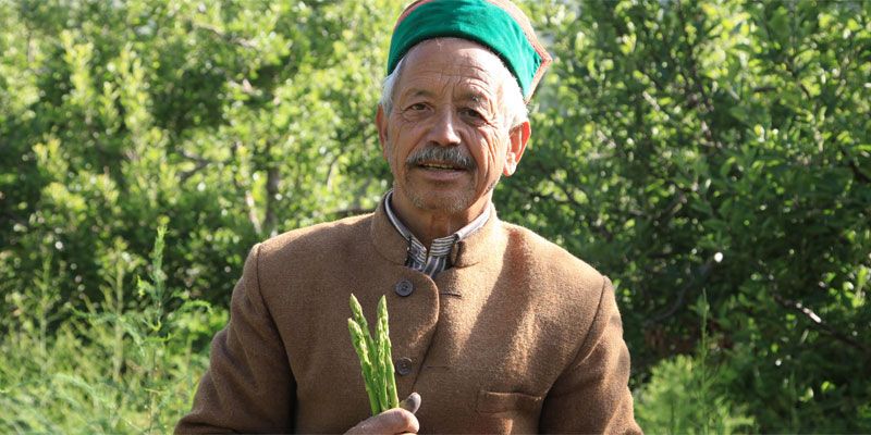 Sowing seeds of friendship: the asparagus man from Kinnaur