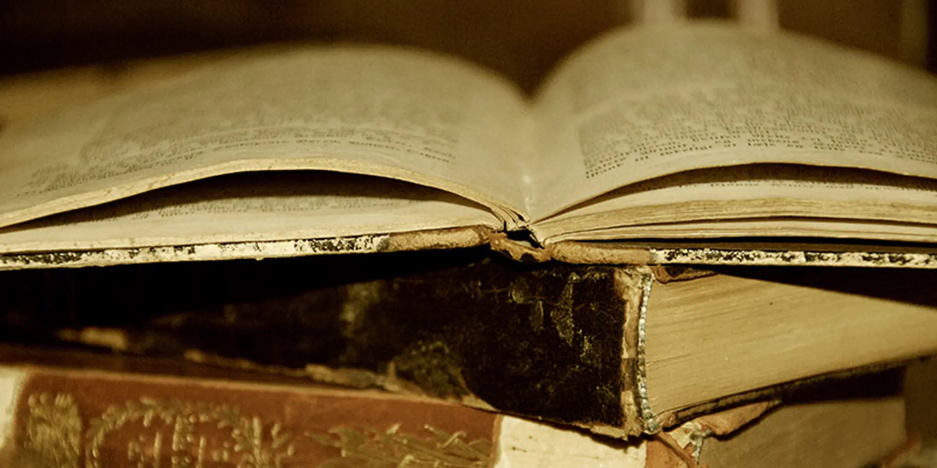 This is what top VCs and entrepreneurs read in 2014 and recommend