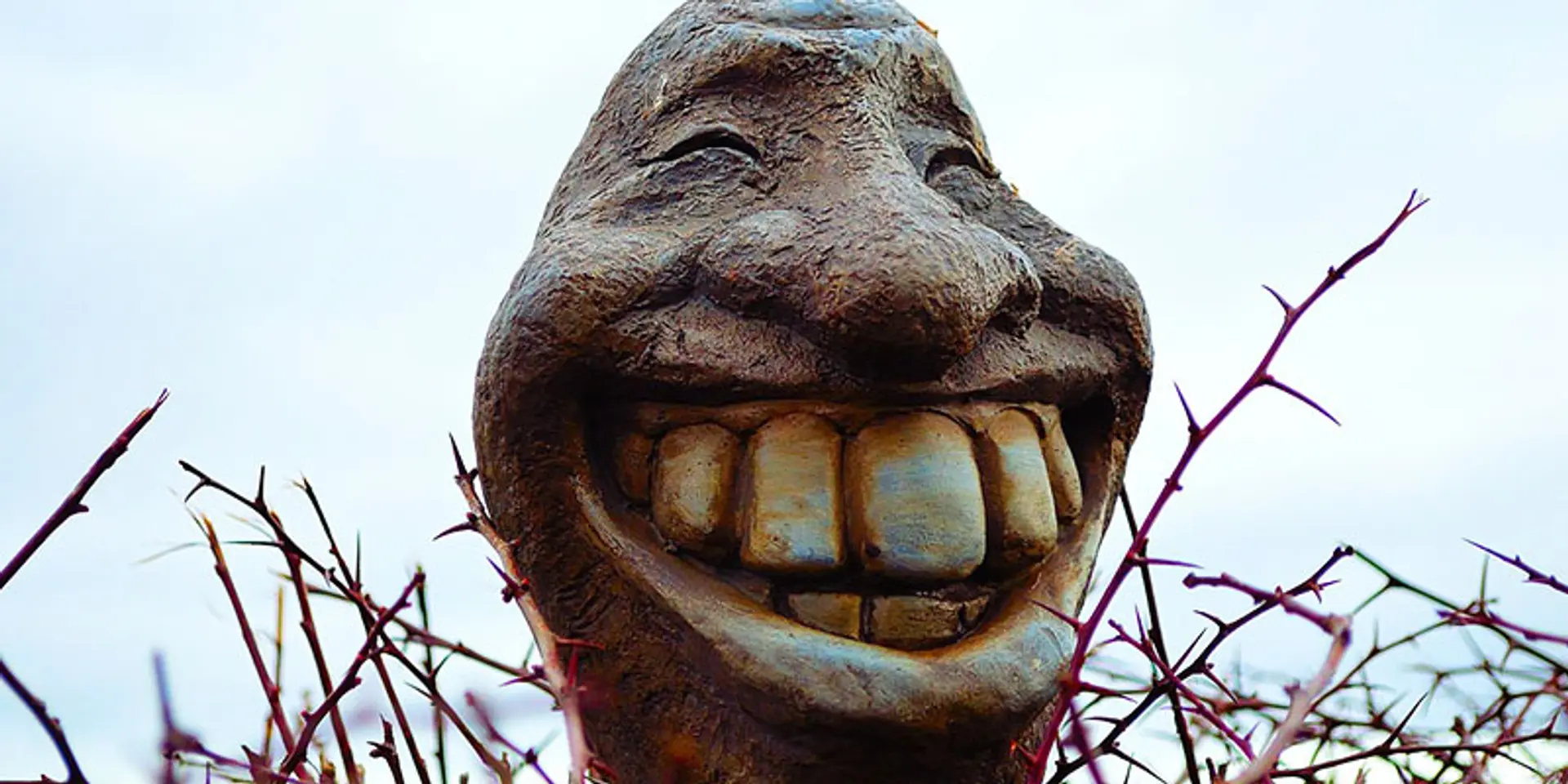 Stop being serious and laugh with Hasovan!