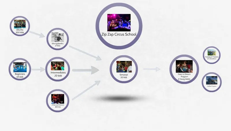 zip zap infographic