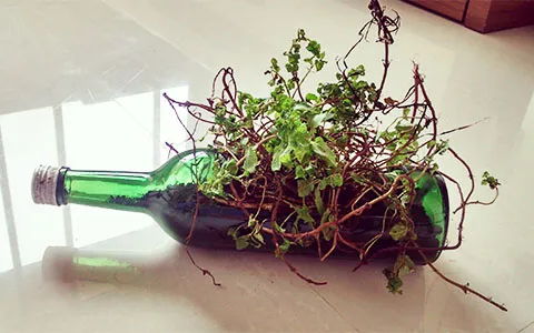 yourstory_TheUpcycleProject_InsideArticle7