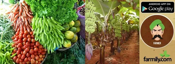Farmily