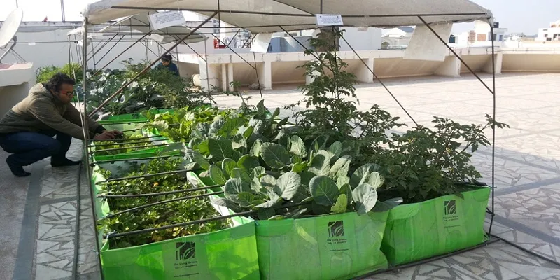 Yourstory_the_living_greens_1