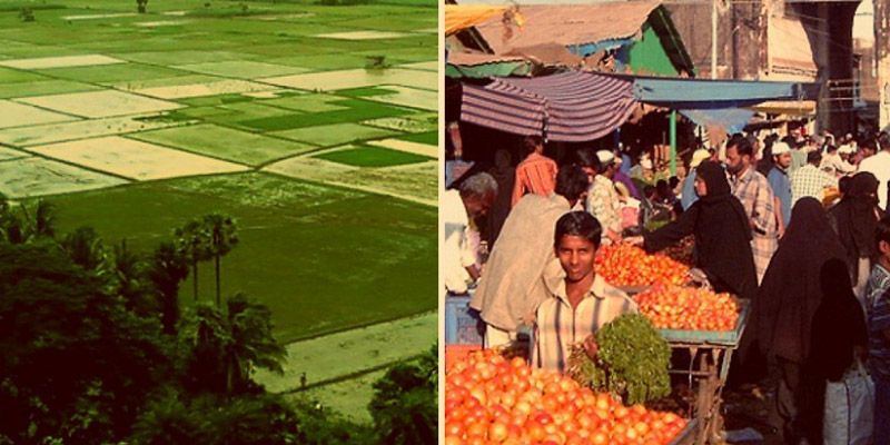Daana Network: bridging parallel worlds with a software for organic farming