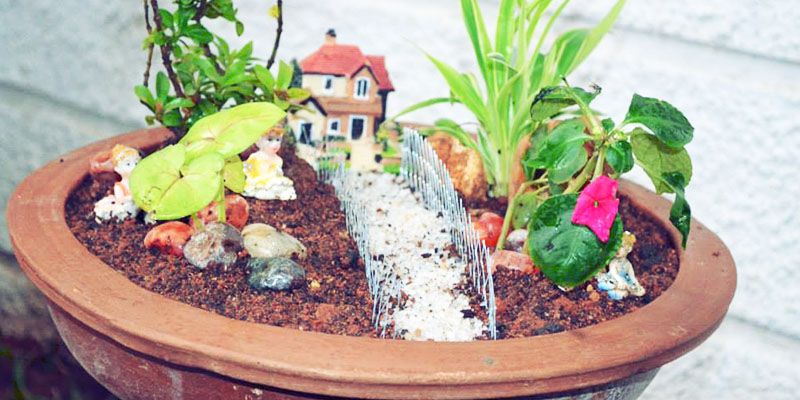 Green Thumbs Boutique brings gardens to your balcony