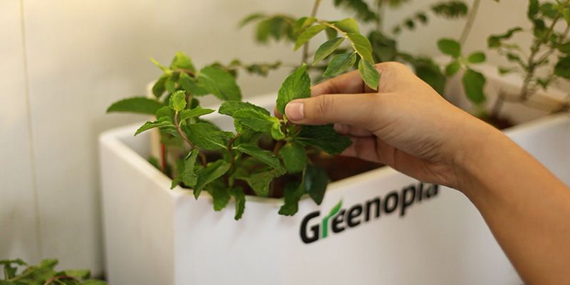 Smart gardens: Greenopia makes gardening a ‘remote’ affair