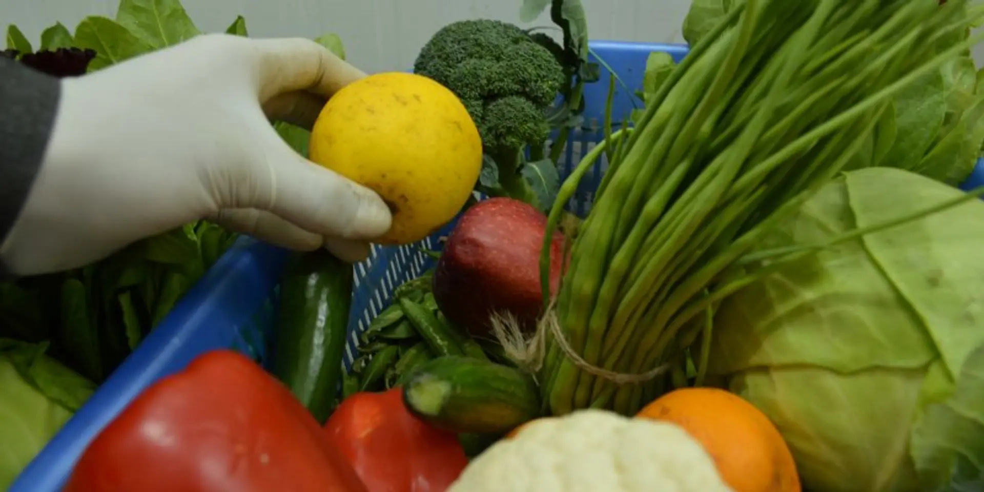 I Say Organic sets its sights high, hopes in 5 years organic produce will rule