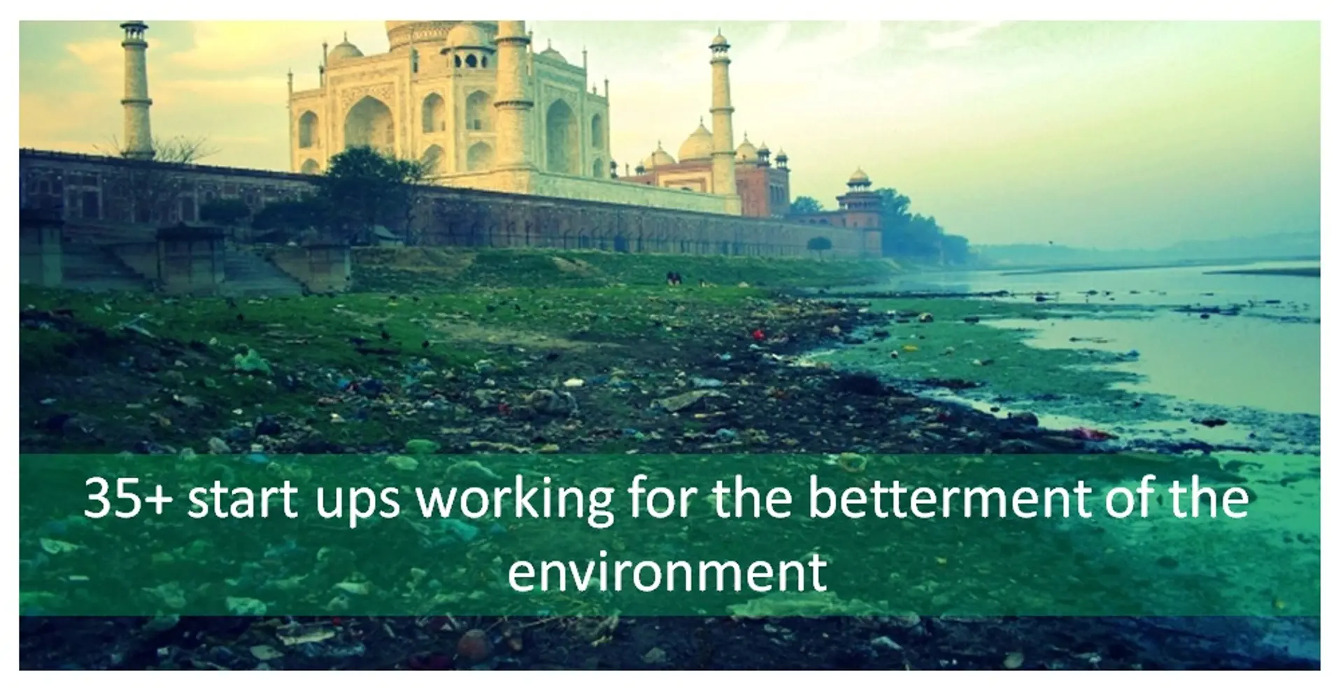 35+ startups working to better the environment because nobody else does