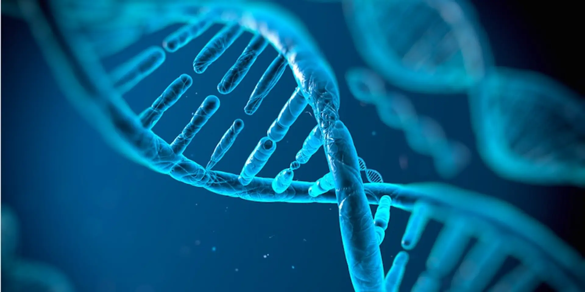 Noida-based Advancells, a research and tech focused Stem Cell therapy solution provider