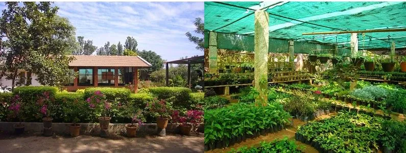 APD's Horticulture Training Center in Kylasanahalli