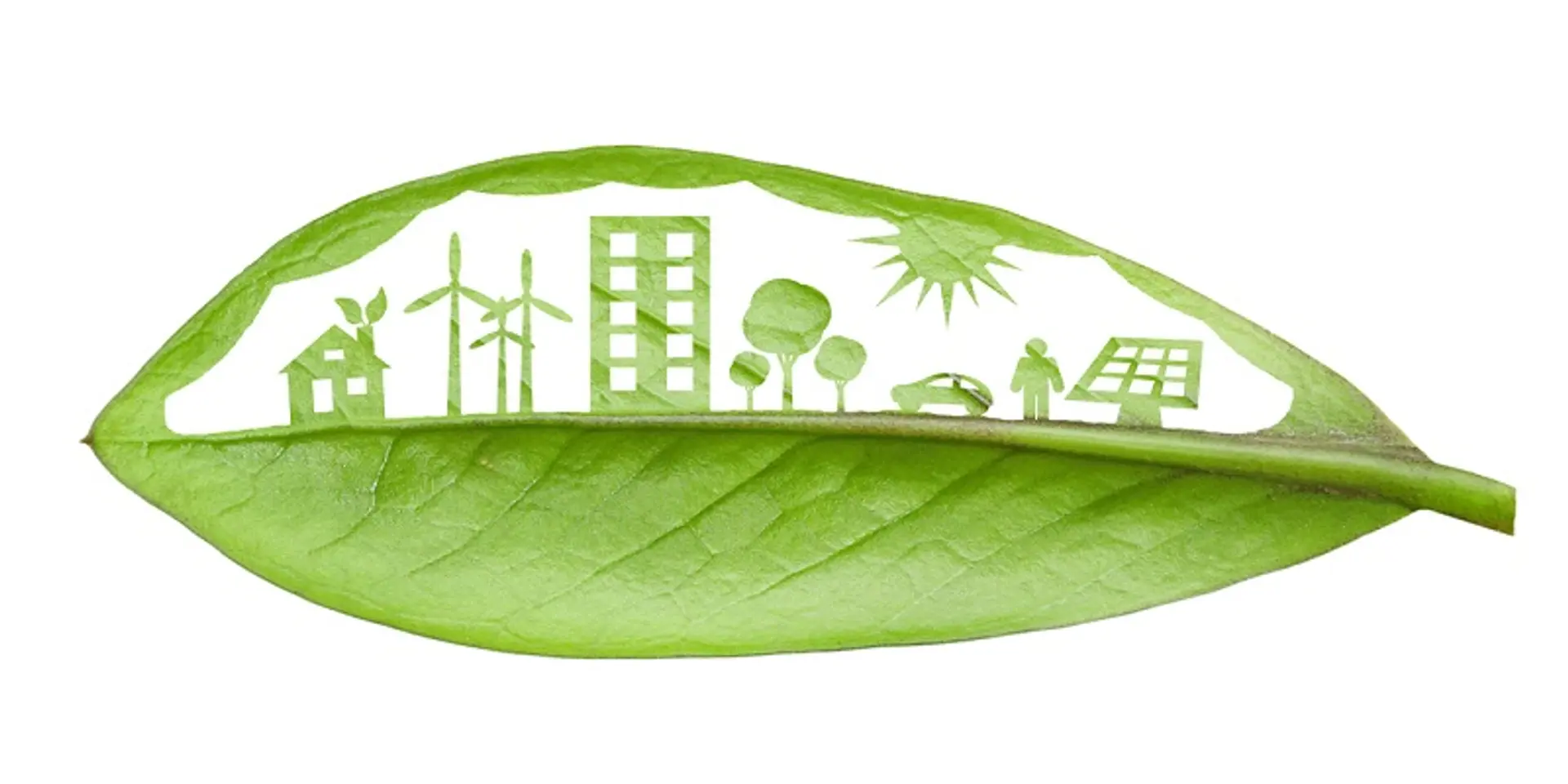 Can nature-based solutions help conserve biodiversity in India?