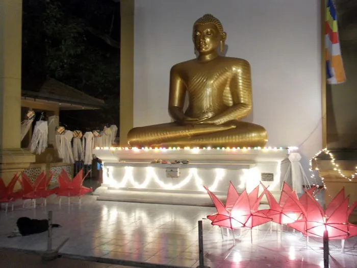 Vesak in Colombo