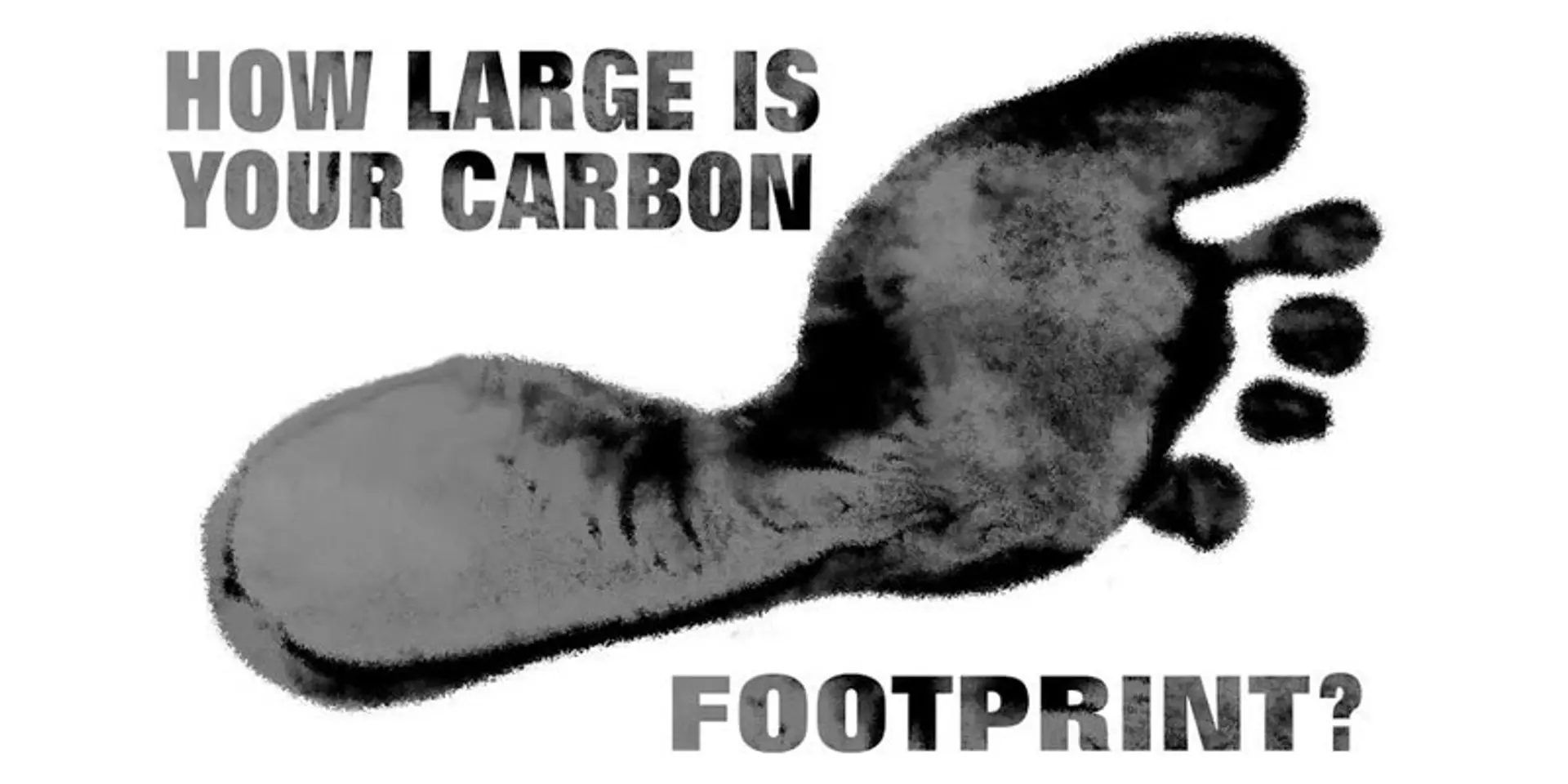 It’s not that difficult to be ‘carbon neutral’; don’t fall for scams, that’s all