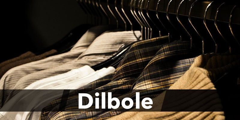 Style discovery across online stores becomes easy with Dilbole