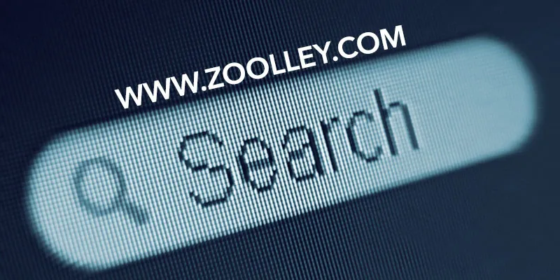 yourstory-Zoolley