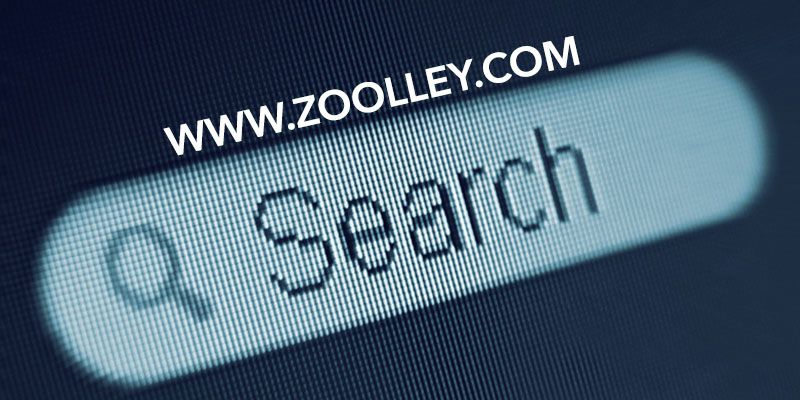 Indian search engine Zoolley provides results on Alexa ranking and not profiles