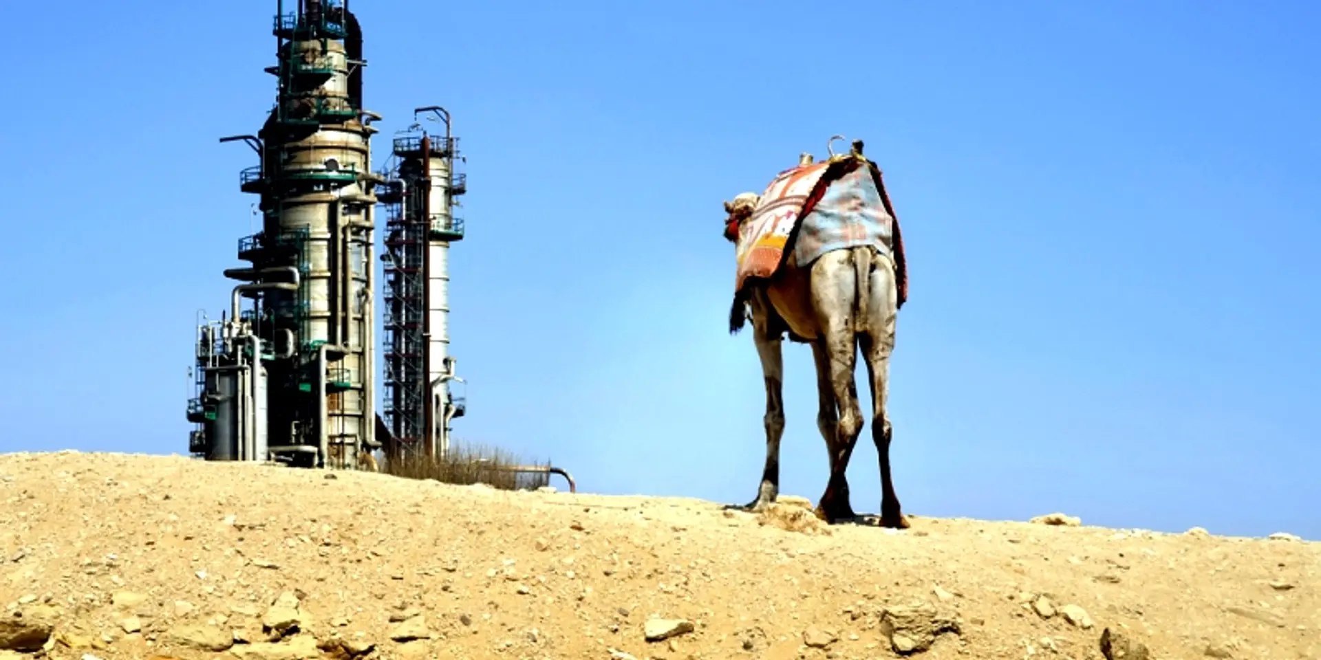 Rajasthan invites MP entrepreneurs, offers 74,000 hectares land and uninterrupted power supply