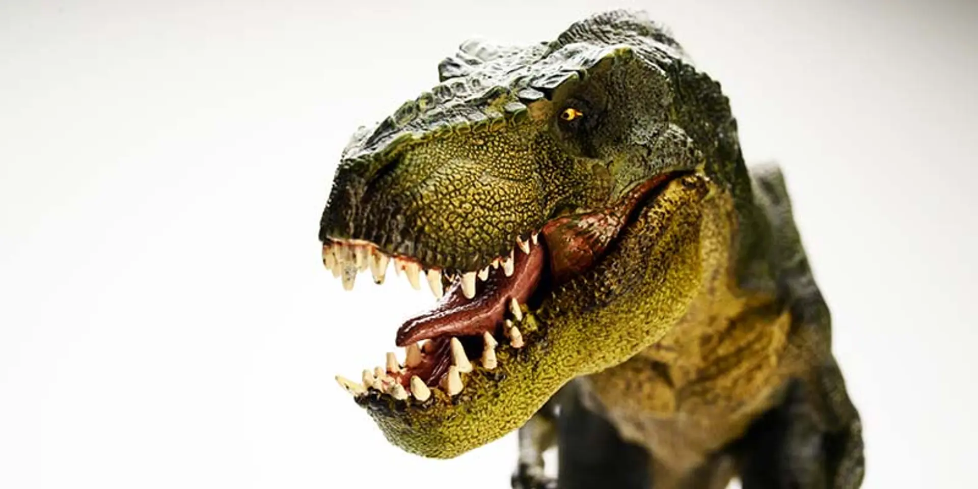 Dinosaurs in the conference room