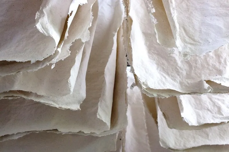 Drying phase of papermaking