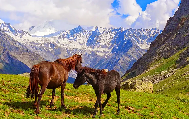 The breathtaking valley of Miyar