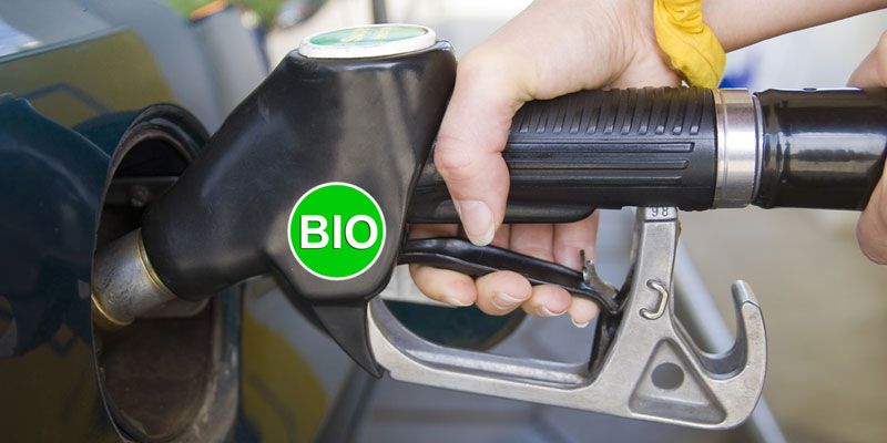 Biofuels turned out to be climate-unfriendly. Will the same be true for organic farming?